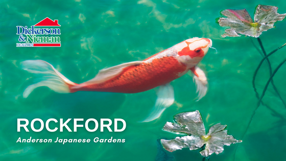 Visit Anderson Japanese Gardens - Rockford, IL - Dickerson & Nieman Realtors