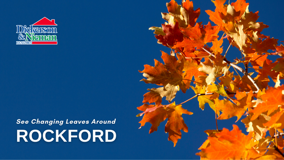 Fall Foliage 2022- Rockford, IL - Dickerson & Nieman Realtors
