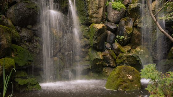 Family-Friendly Summer Attractions Around Rockford | Dickerson & Nieman Realtors