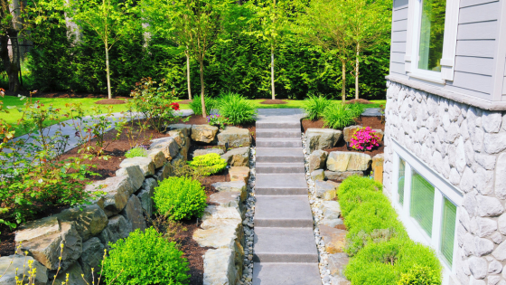 Green Space: Tree Planting Advice for Homeowners | Dickerson & Nieman Realtors