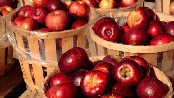 Local Farms and Markets to Visit During Harvest Season Near Rockford | Dickerson & Nieman Realtors