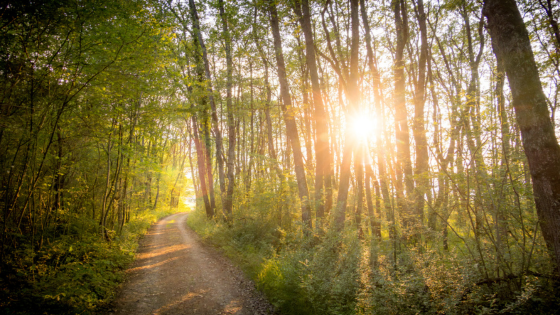 Peaceful Places for a Sunset Walk Around Rockford, IL | Dickerson & Nieman Realtors