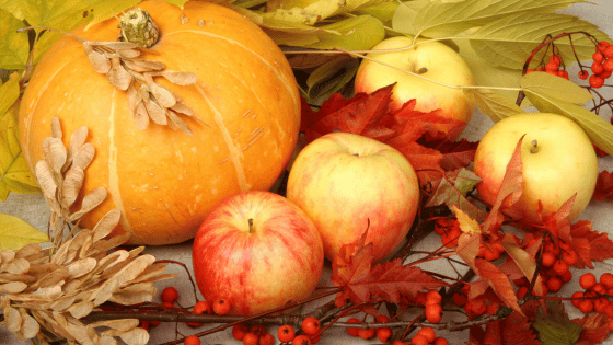 Scenic Places for Autumn Photography Around Rockford | Dickerson & Nieman Realtors