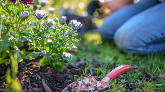 Spring Refresh: Essential Repairs and Upgrades for Your Home | Dickerson & Nieman Realtors