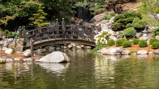 Visit These Rockford Green Spaces This Spring | Dickerson & Nieman Realtors